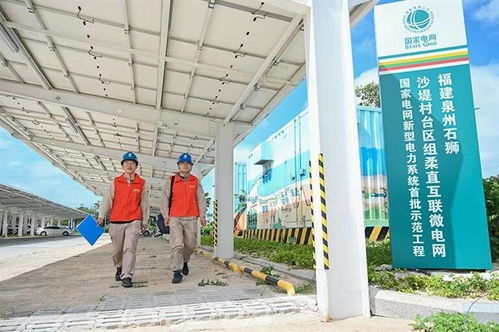 國網石獅市供電公司 逐綠前行探 新 路 電 亮鄉村好風景