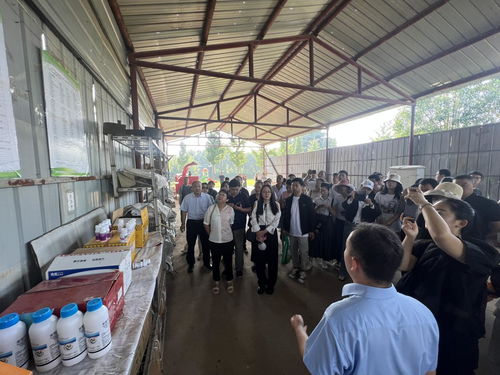 2023年綠色食品檢查員 標(biāo)志監(jiān)督管理員暨名特優(yōu)新農(nóng)產(chǎn)品跟蹤管理員培訓(xùn)班在洛陽市舉辦鳳凰網(wǎng)河南