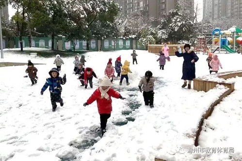 最美的雪,落在校園
