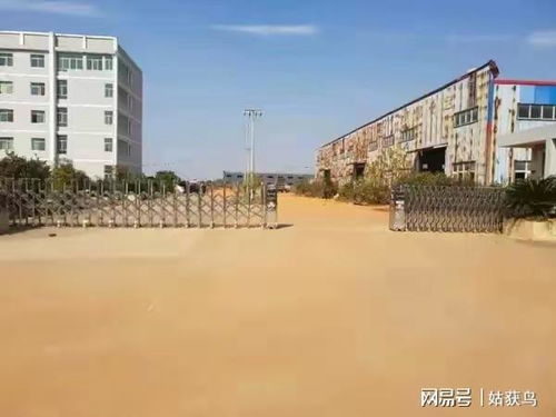 宜春市的一座大型工廠第三次拍賣,價格降到634.9萬元也沒人要