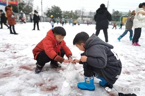 最美的雪,落在校園