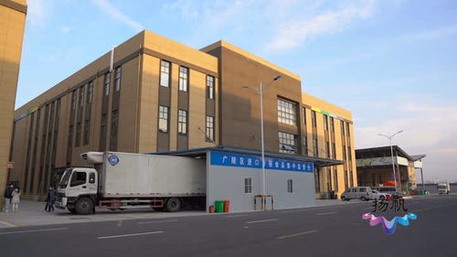 首批食品入倉 揚(yáng)州市進(jìn)口冷鏈?zhǔn)称芳斜O(jiān)管倉今天啟用