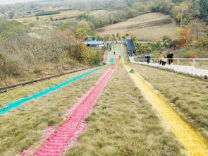 鳳陽府城明珠幼兒園滁州八嶺湖親子研學游