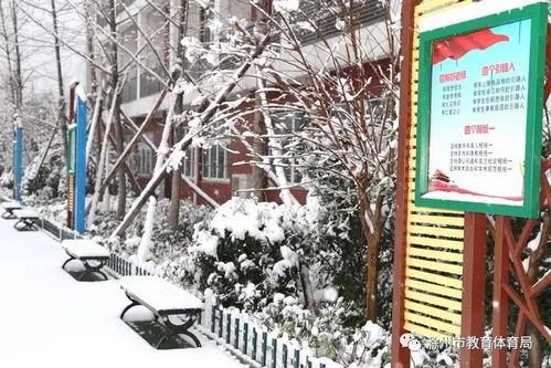 最美的雪,落在校園