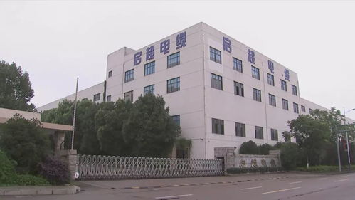 民營(yíng)企業(yè)大走訪大調(diào)研大服務(wù) 衢州 司法高效服務(wù)促進(jìn)企業(yè)快發(fā)展