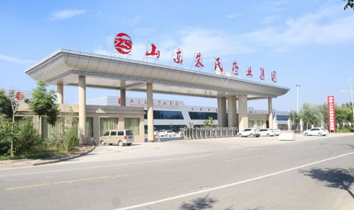 山東朱氏藥業(yè)集團(tuán) 膏藥貼產(chǎn)品市場(chǎng)的領(lǐng)導(dǎo)者