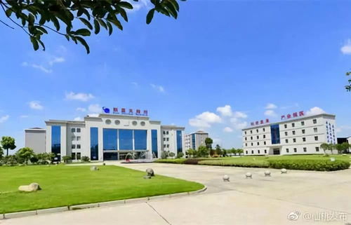 湖北日報 仙桃新材料產業出擊 藍海